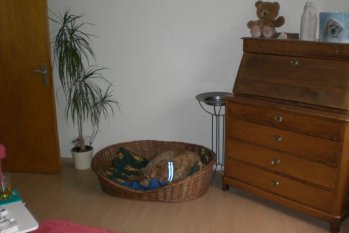 Mein Wohnzimmer