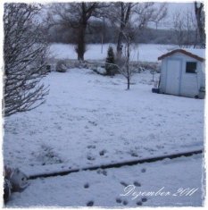 Winter 2011