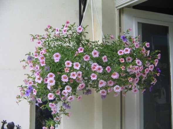 Terrasse / Balkon 'Freiluftstübchen Sommer 2009'