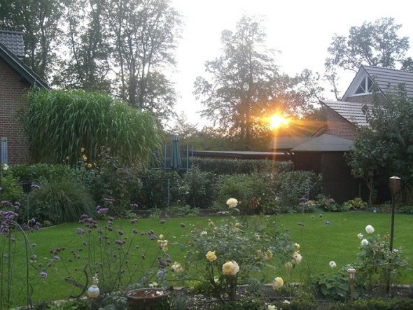 Garten 'Garten'