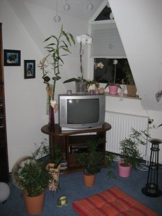 Mein Wohnzimmer