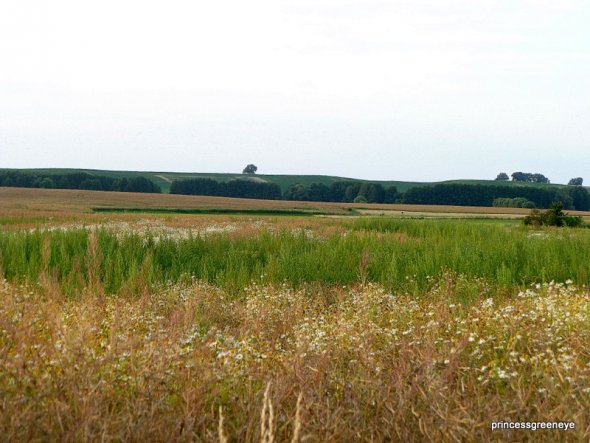 Natur pur rund um Welsow