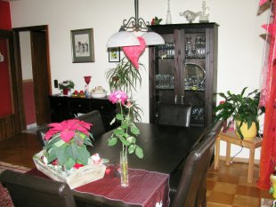 wohnzimmer 2008